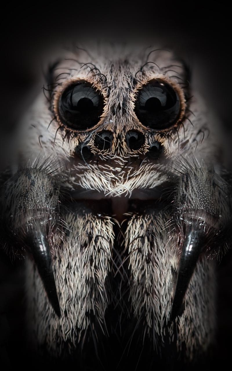 Scare your family