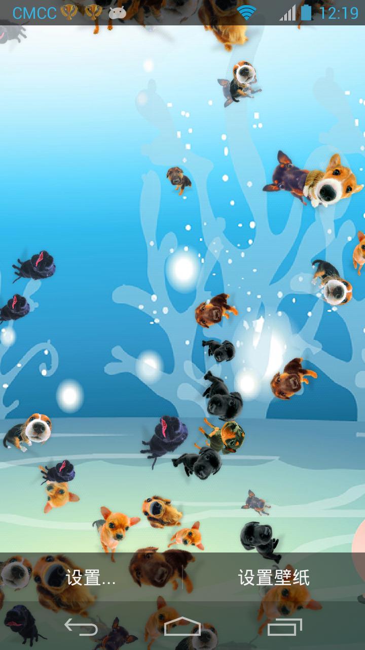 Lovely Pet  Lwp