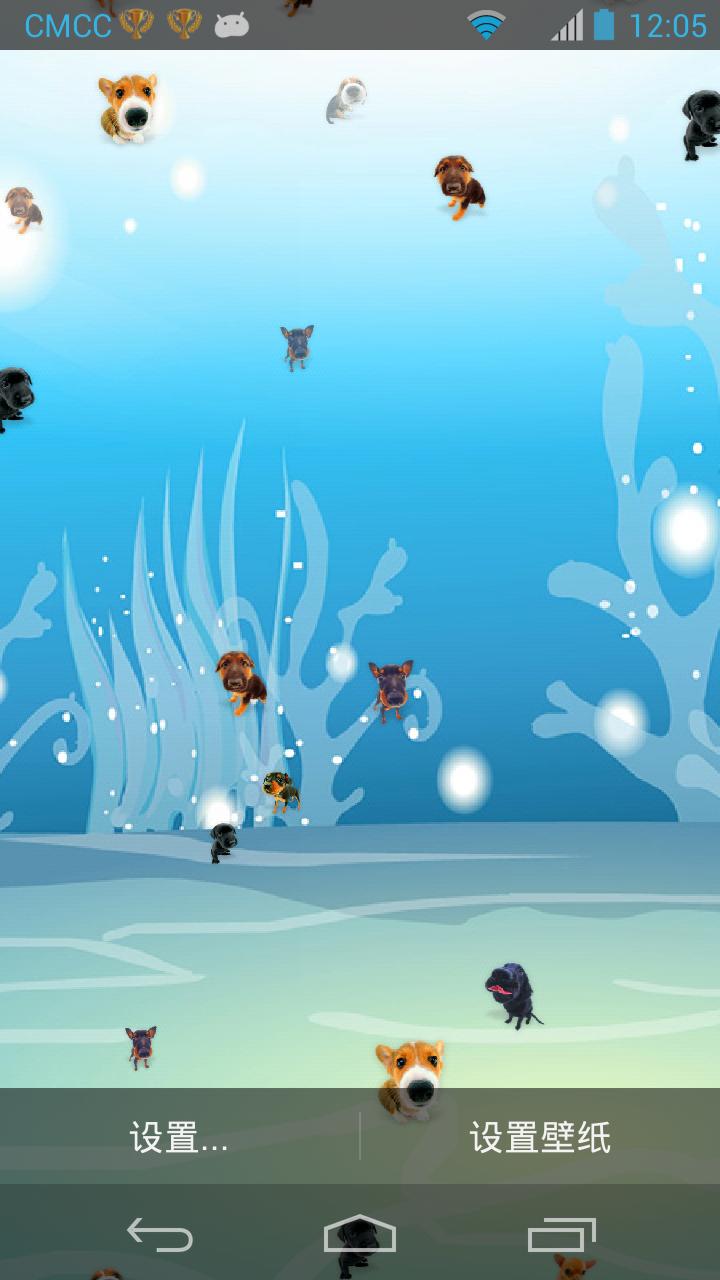 Lovely Pet  Lwp