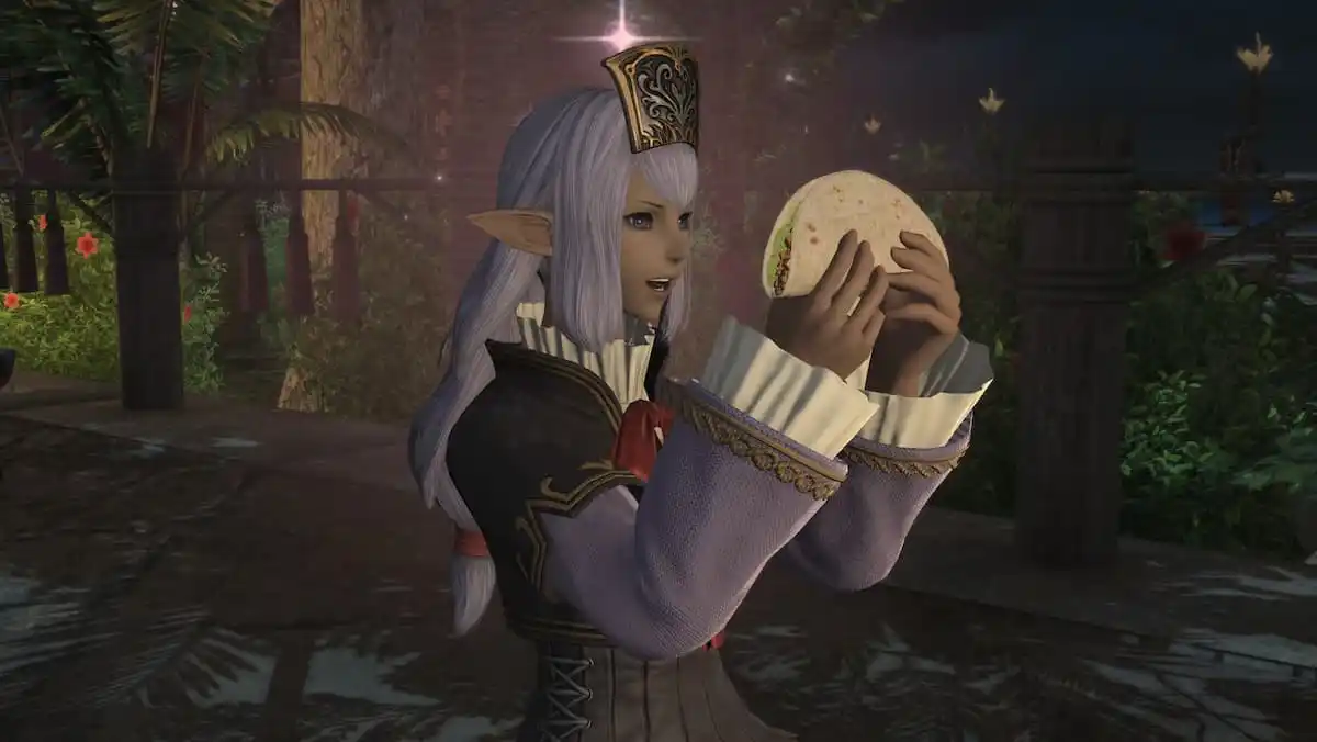 ffxiv : Vana'diel의 Echoes는 나를 향수로 만들고 ffxi조차 플레이하지 않습니다.