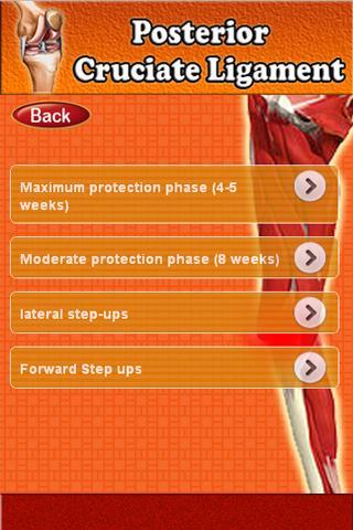 Posterior Cruciate Ligament