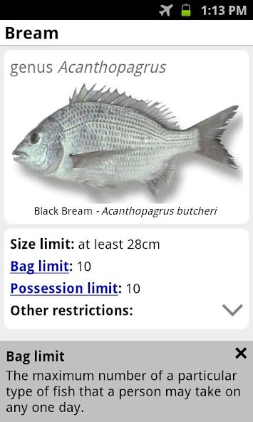 My Fishing Mate Australia