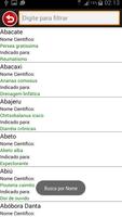 Guia de Plantas Medicinais