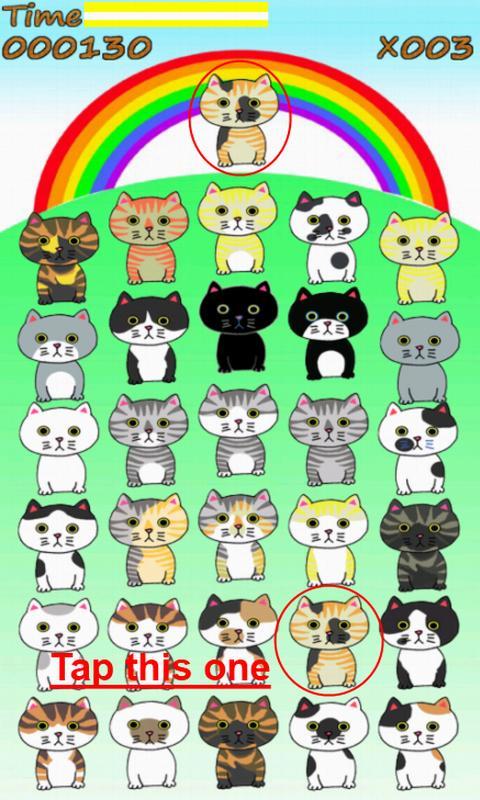 Finding Cat