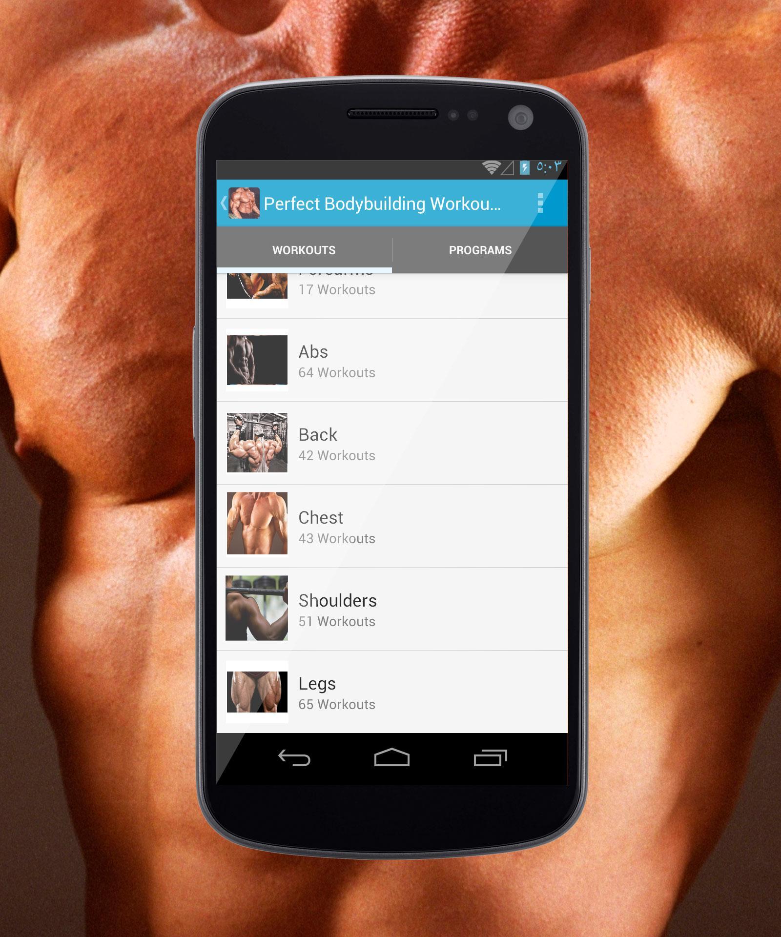 Perfect Bodybuilding Workout