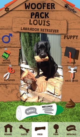 Woofer