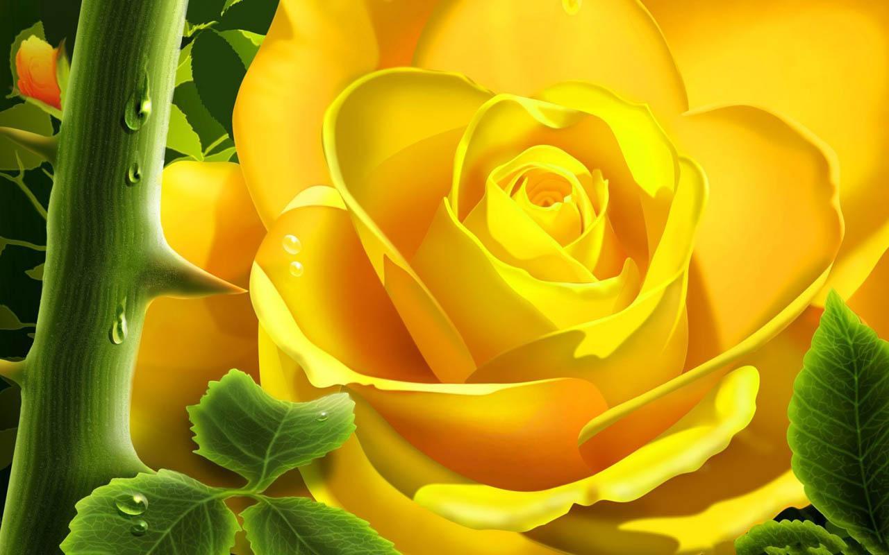 3D Rose