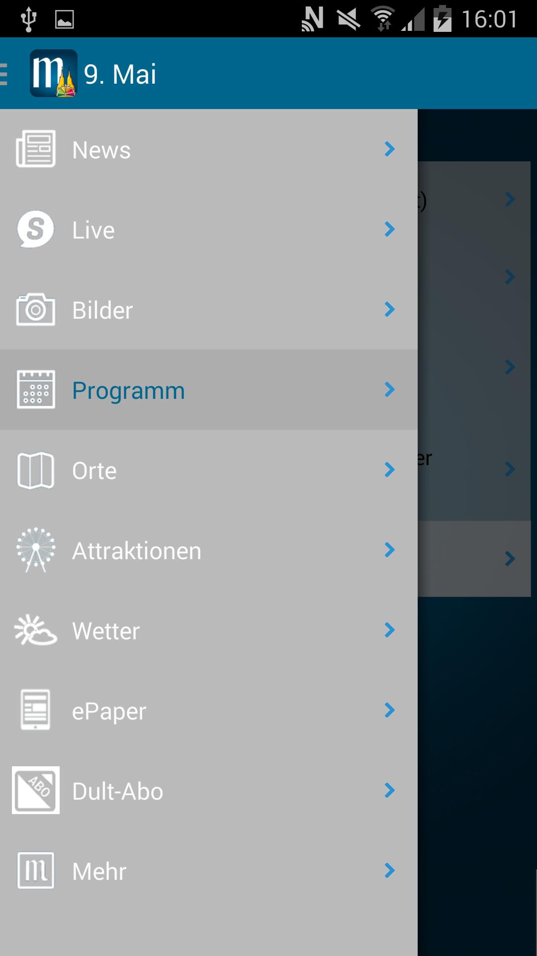 Mittelbayerische Dult