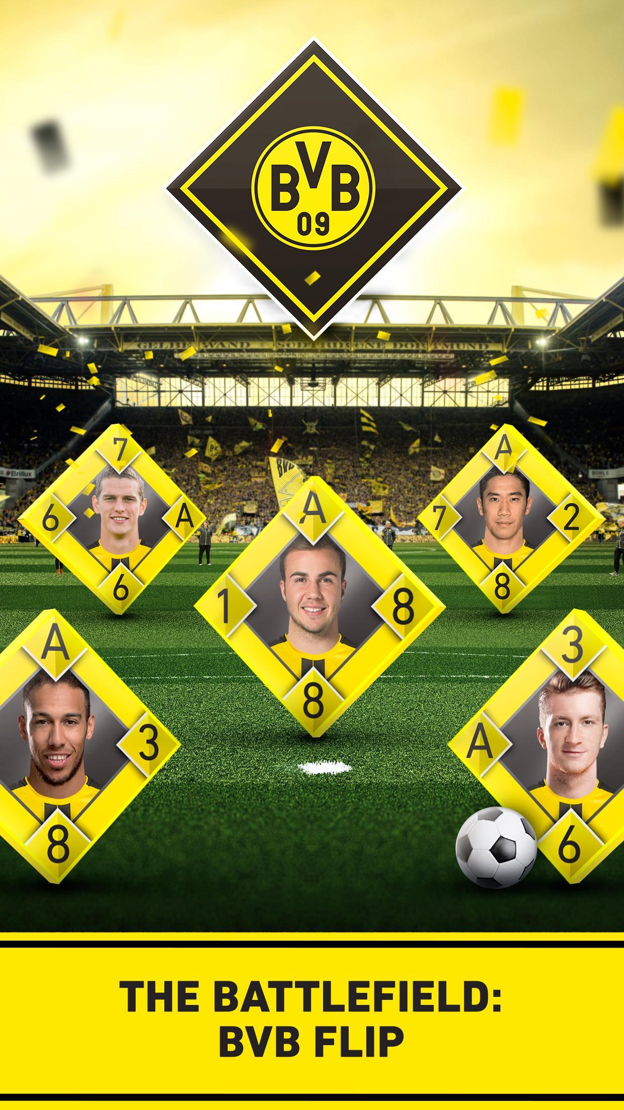 BVB Flip