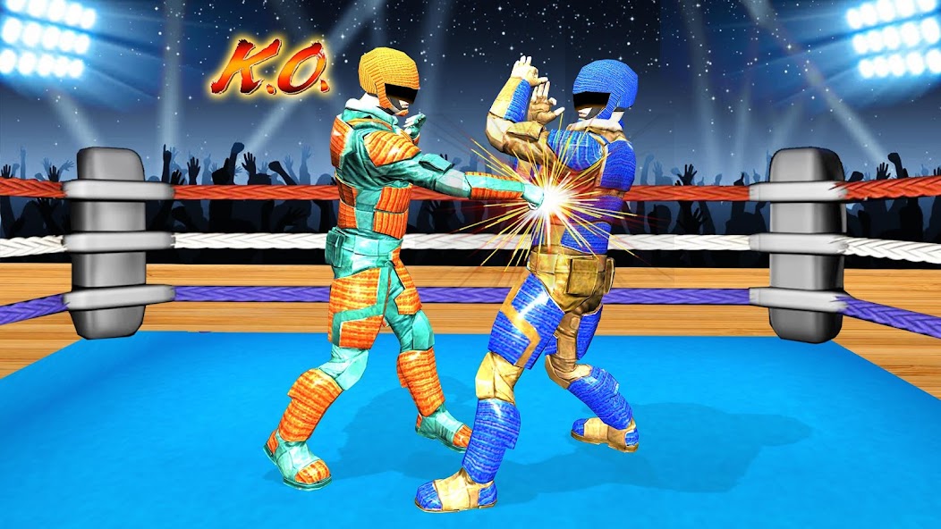 Real Robot Wrestling - Robot F