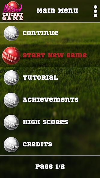 Blind Cricket