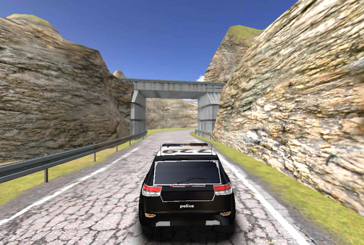 SUV Police Driving 3D