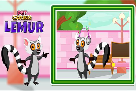 Pet Caring Lemur