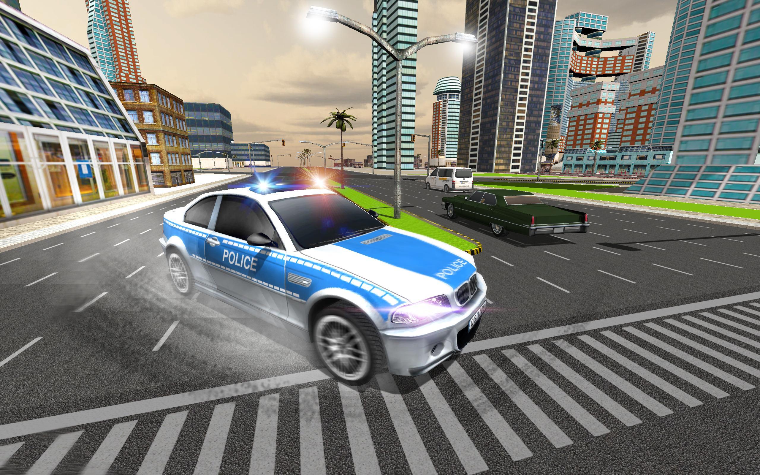 Police Car Chase-Criminal Case