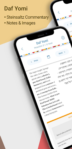 Steinsaltz Daily Study