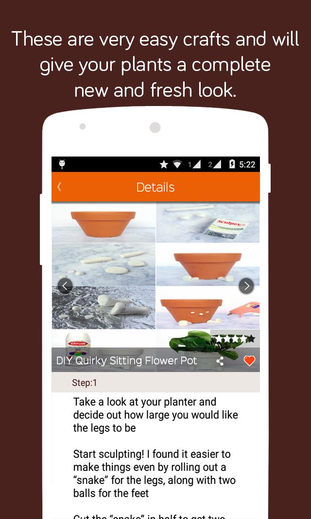 Plants DIY Pots and Crafts