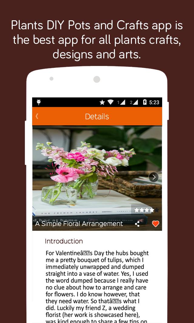 Plants DIY Pots and Crafts