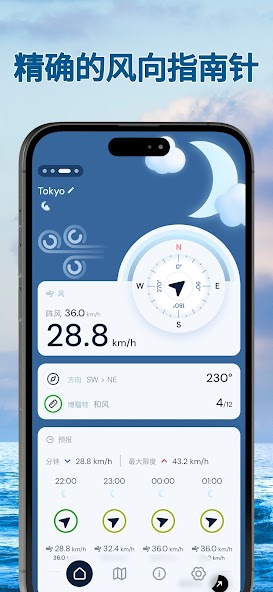 Anemometer - Wind Widget