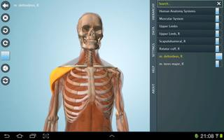 Anatomy 3D - Anatronica