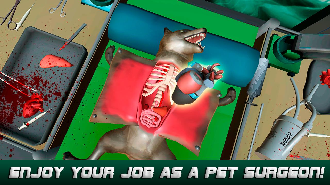 Crazy Animal Surgery Simulator