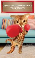 Boxing Cat