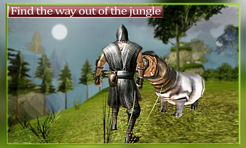 Ninja Hunter: Jungle animals