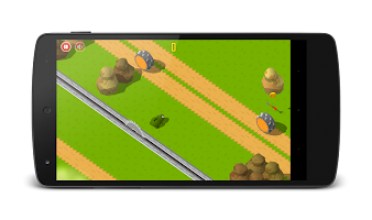 Froggy Crossing the Road