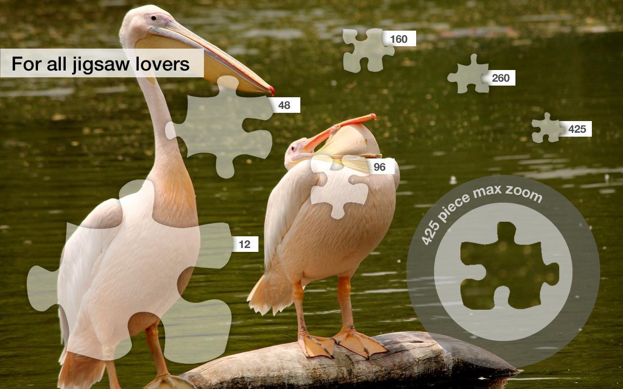 Jigsaw Puzzles: Lake Birds