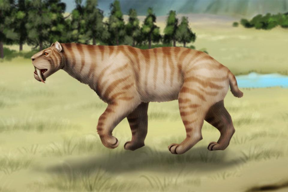 Prehistoric life　Puzzle