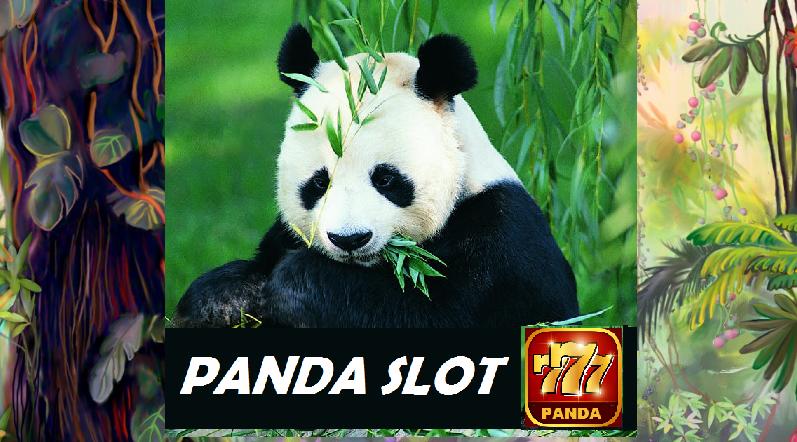 Jungle Panda Slot Casino