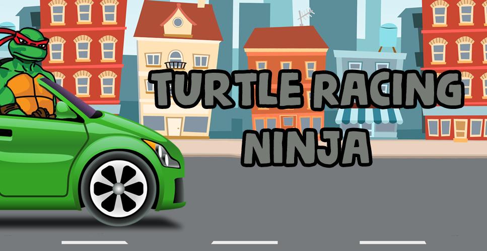 Turtle Racing Ninja