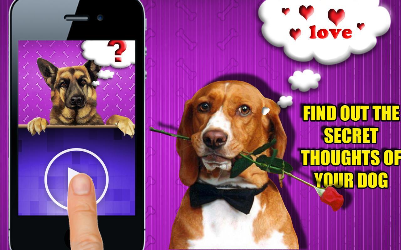 Dog Simulator: Mind scanner