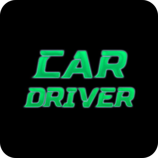 Car Driver