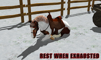 Snow Horse Jump Simulator