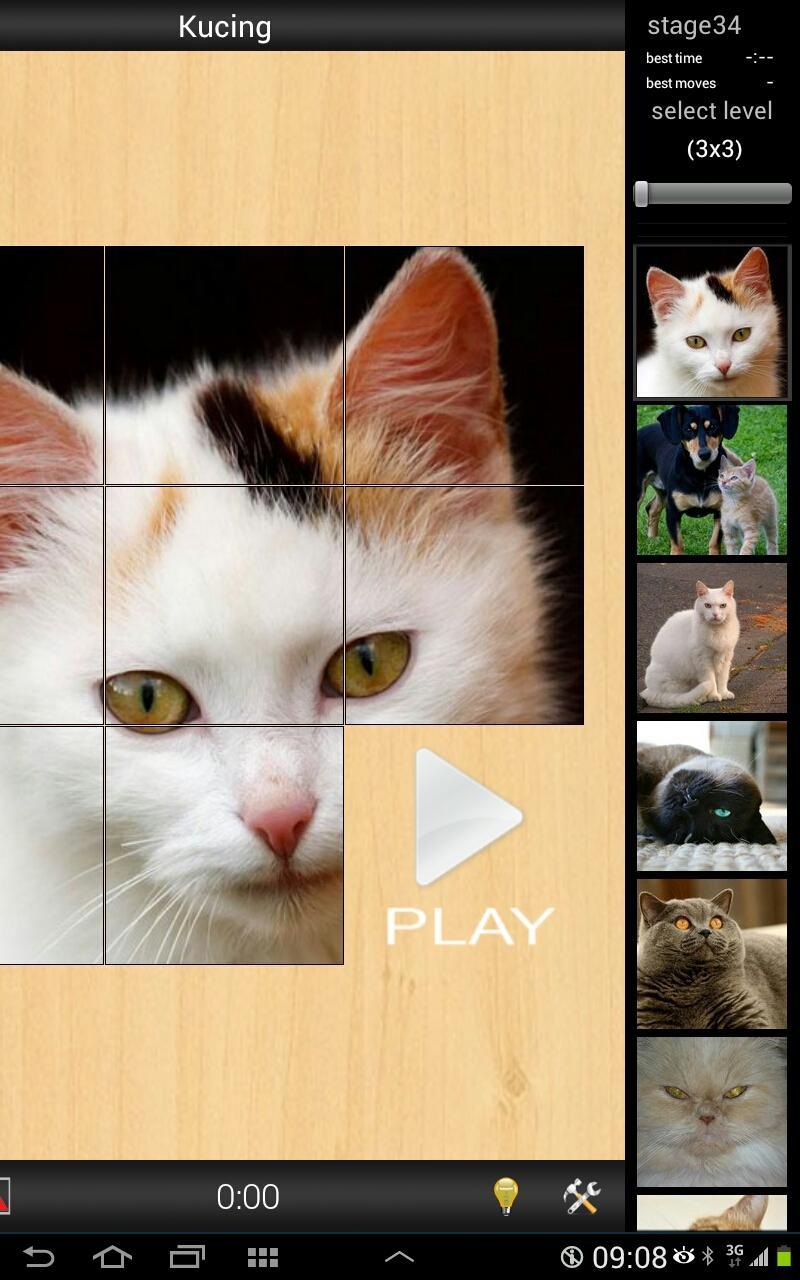 Best Cats game