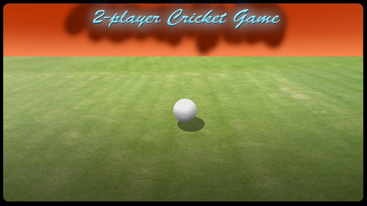 2 Player Cricket Game - CASUAL
