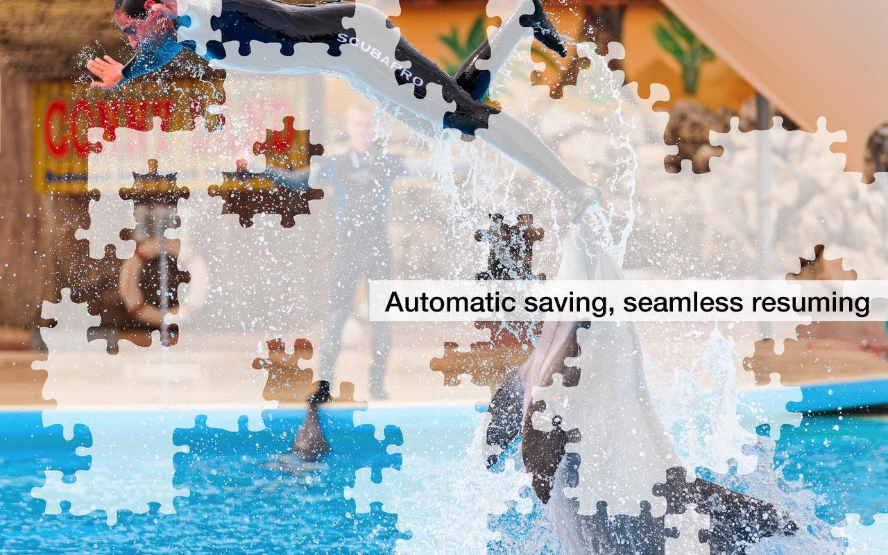 Dolphin Jigsaw Puzzles Demo