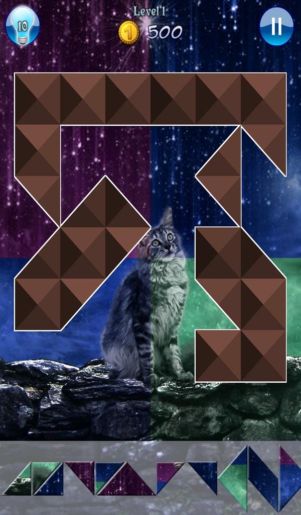 Hidden Pieces: Cat Tailz